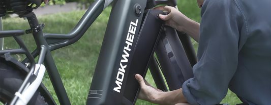 Ce que vous devez savoir sur les batteries de vélo électrique (E-Bike)