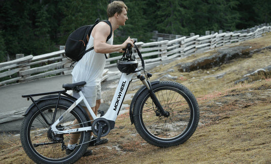 Les meilleurs vélos électriques à cadre bas en 2024