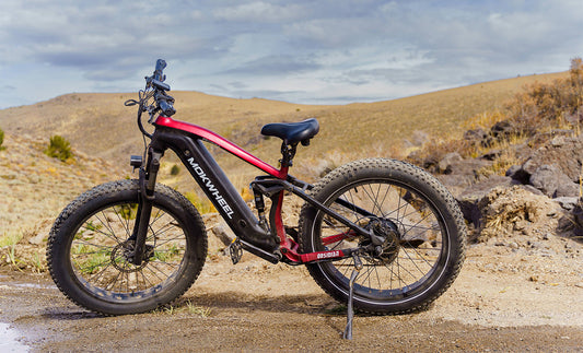 Meilleurs vélos électriques longue distance Mokwheel de 2024