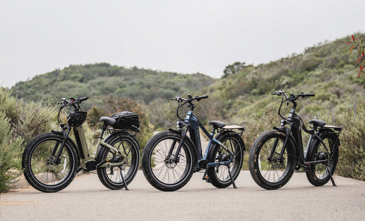 Mokwheel Electric Bikes Stand Out in Sea of Electric Bikes