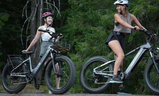Mokwheel - tout terrain velo electrique