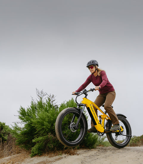 <p>Plus d'offres</p>